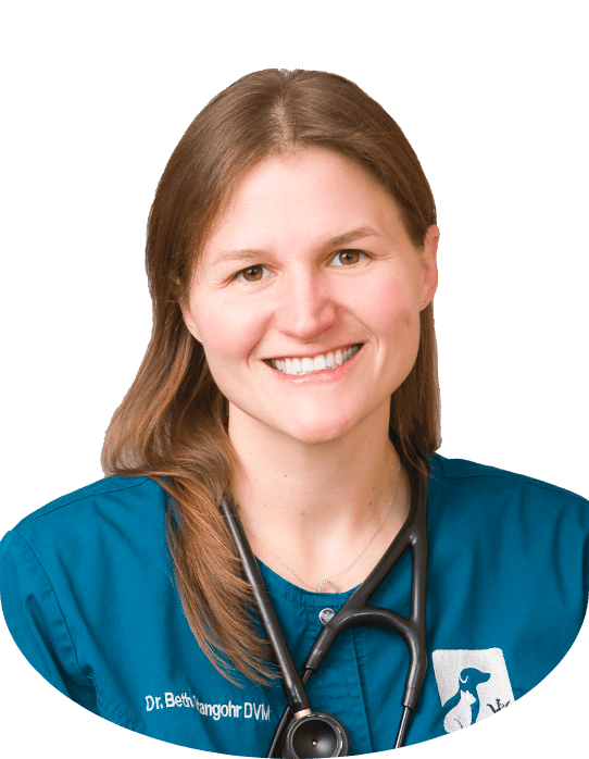 Dr. Beth Stangohr, veterinarian at Sioux Nation Pet Clinic