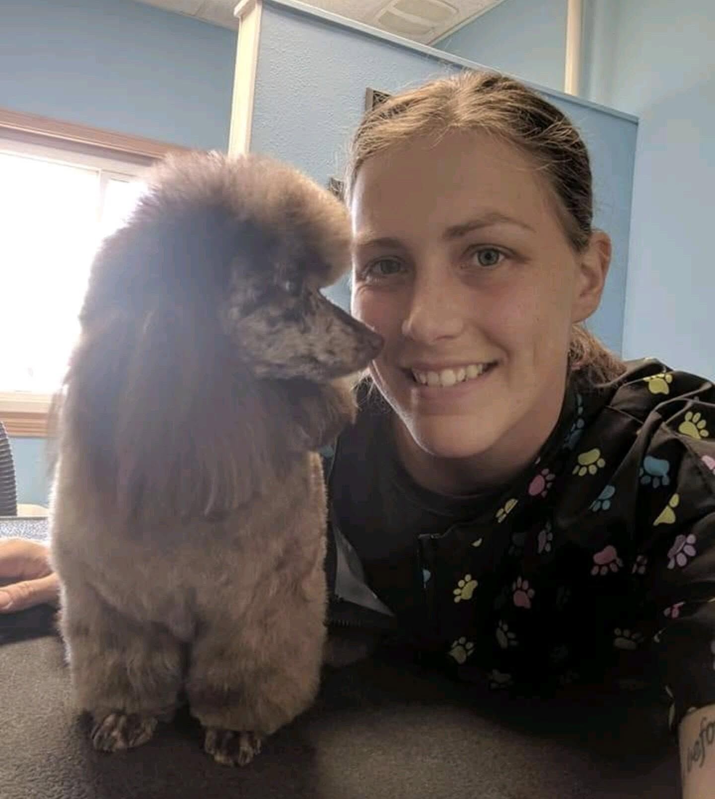Our groomer with a freshly groomed chocolate miniature poodle