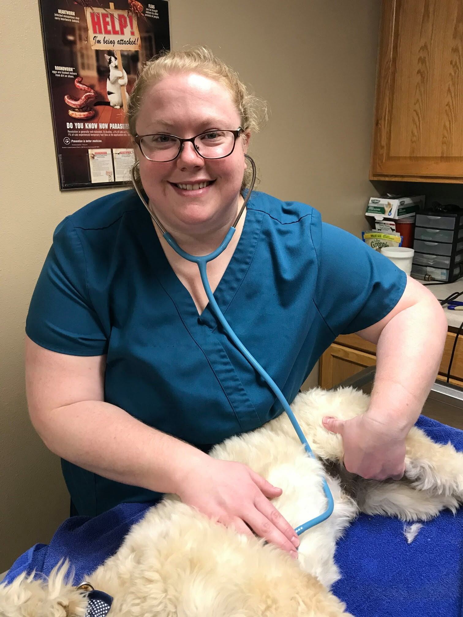 A smiling technician with a stethoscope examining a fluffy white dog